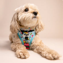 Load image into Gallery viewer, Maltese wearing Retro Pet Bayside Harness