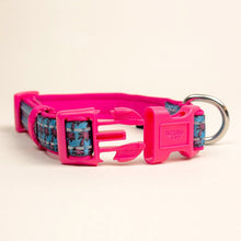 Load image into Gallery viewer, Retro Pet Paradise City Dog Collar 4-Point Buckle