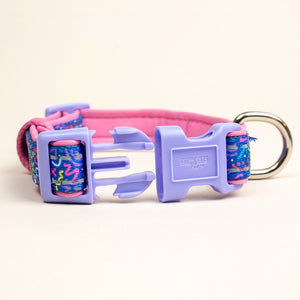Retro Pet Sqiggles Dog Collar 4-Point Buckle