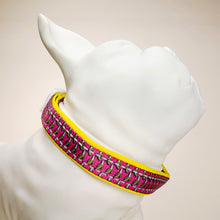 Load image into Gallery viewer, Retro Pet Bananas Dog Collar on Mannequin