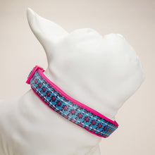 Load image into Gallery viewer, Retro Pet Paradise City Dog Collar Dog Mannequin