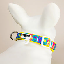 Load image into Gallery viewer, Retro Pet Fiesta Sauce Dog Collar D-Ring and ID Loop