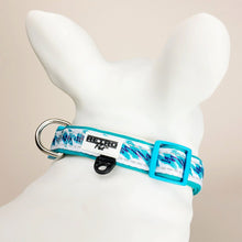 Load image into Gallery viewer, Retro Pet Jazzy Phizzle Dog Collar D-Ring and ID Loop