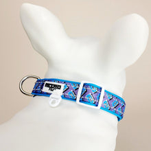 Load image into Gallery viewer, Retro Pet Mixtapes Dog Collar D-Ring and ID Loop