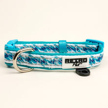 Load image into Gallery viewer, Retro Pet Jazzy Phizzle Dog Collar