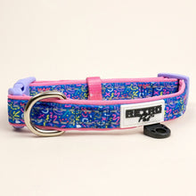 Load image into Gallery viewer, Retro Pet Sqiggles Dog Collar
