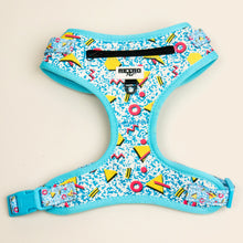 Load image into Gallery viewer, Retro Pet Bayside Dog Harness Front
